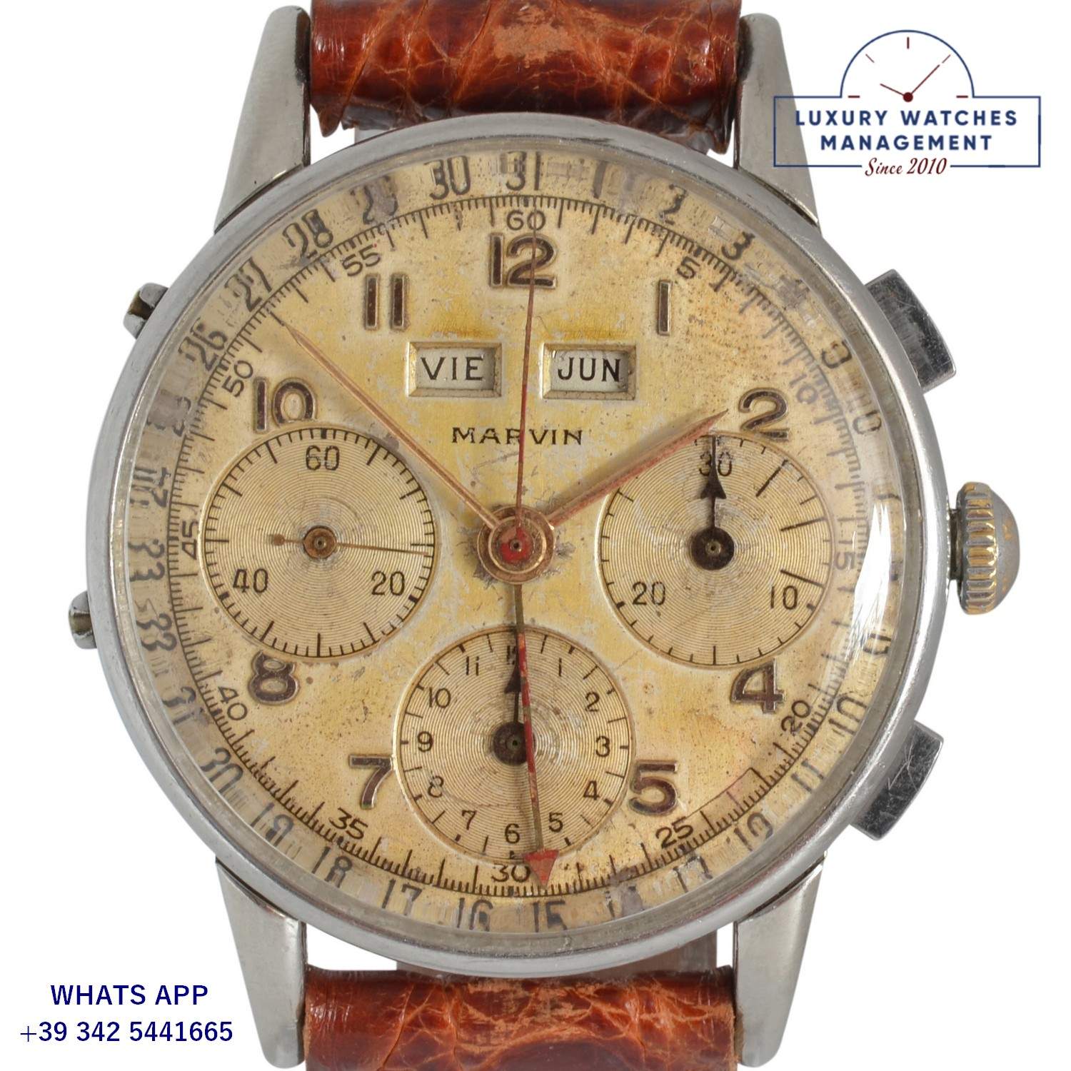 MARVIN CHRONO DATO COMPAX 1950 (18)