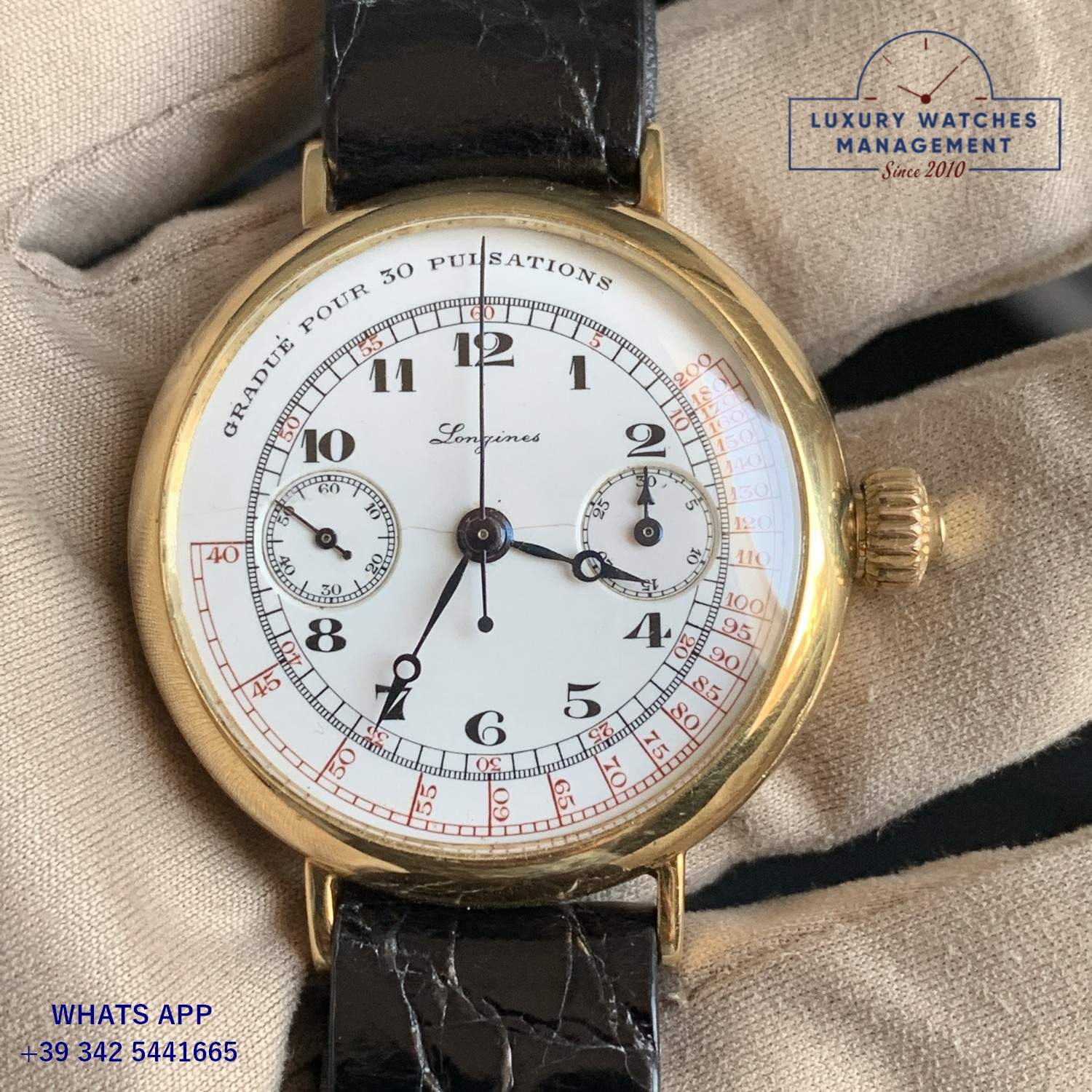 LONGINES CHRONO GRANDS PRIX (52)