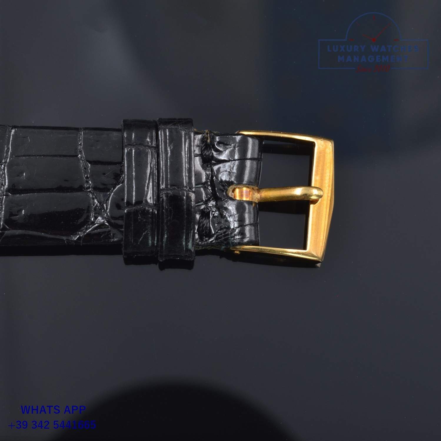 PATEK PHILIPPE CHRONO 130 (27)