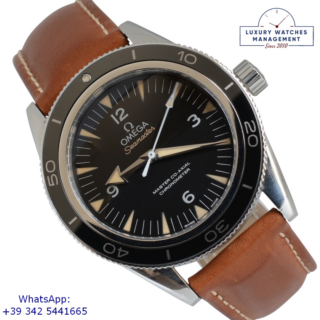 1 OMEGA SEAMASTER (1)