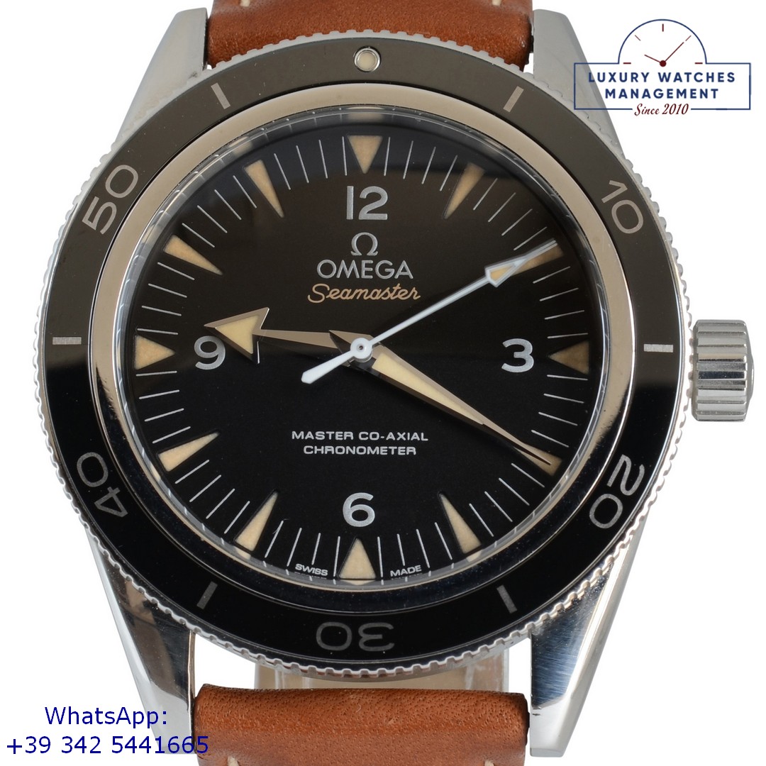 OMEGA SEAMASTER (1)