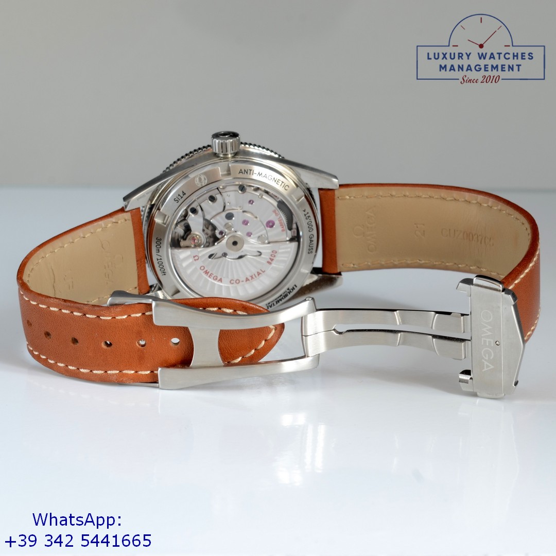 OMEGA SEAMASTER (10)