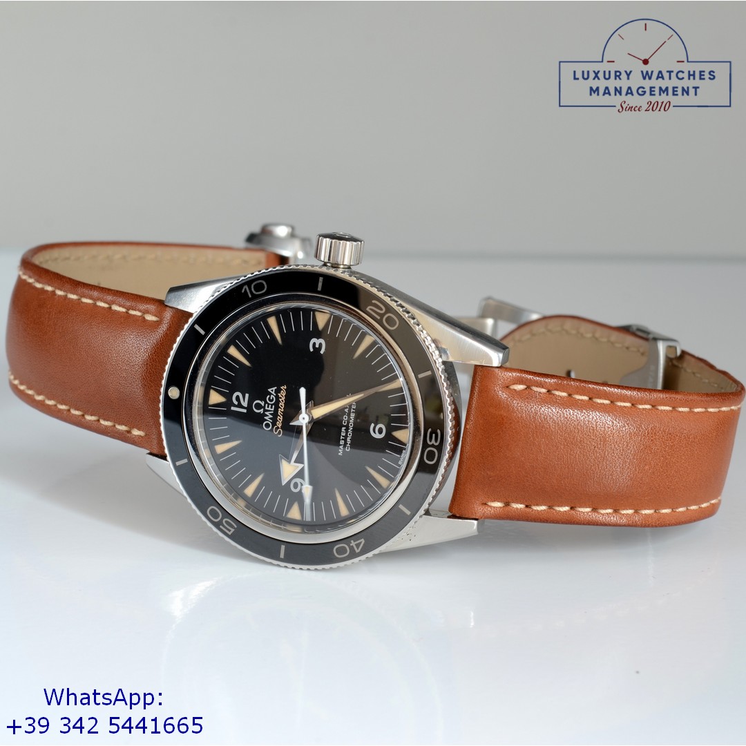 OMEGA SEAMASTER (14)
