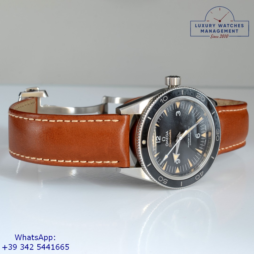 OMEGA SEAMASTER (15)