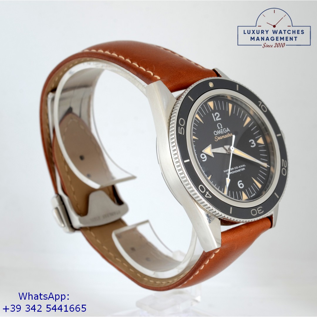 OMEGA SEAMASTER (2)