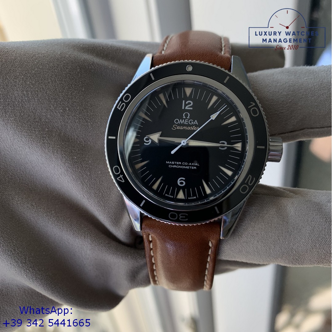 OMEGA SEAMASTER (30)
