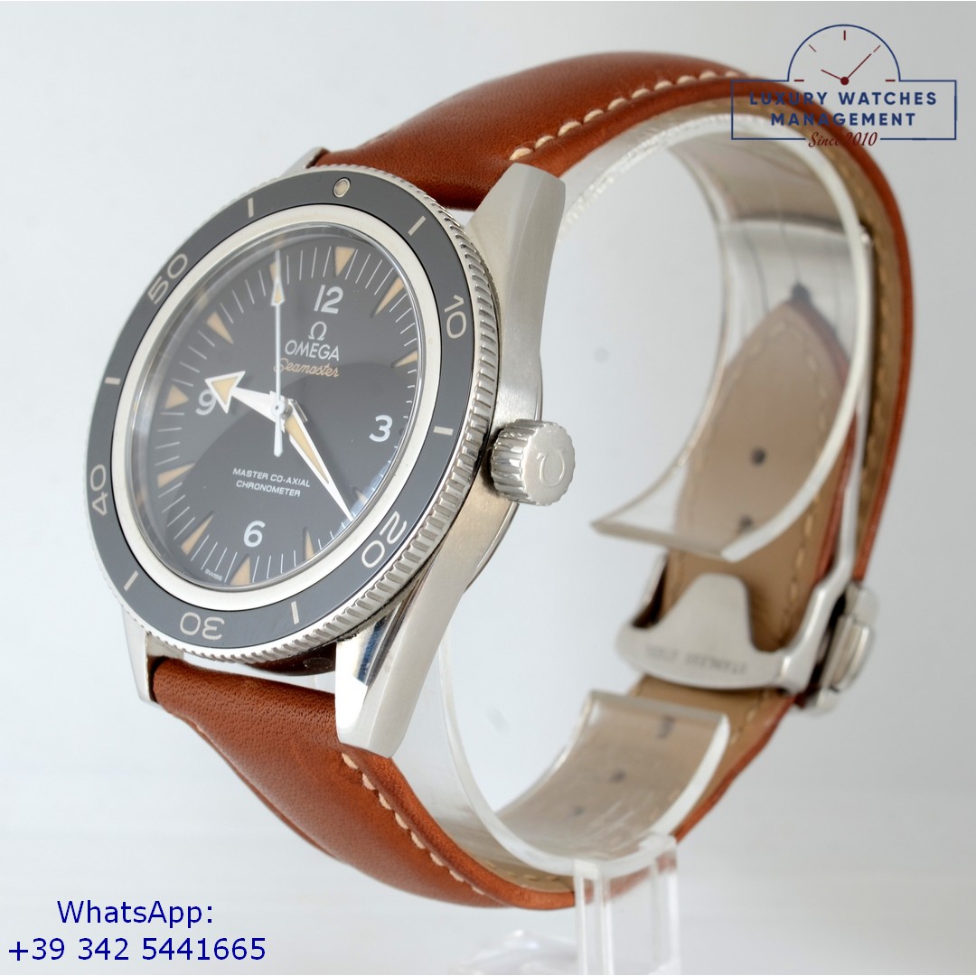 OMEGA SEAMASTER (4)