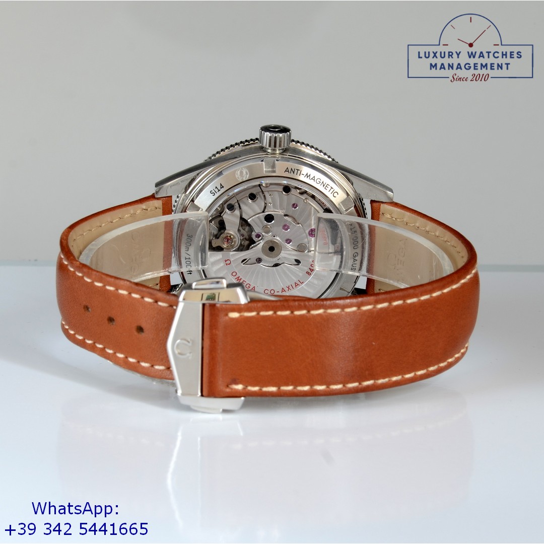 OMEGA SEAMASTER (9)