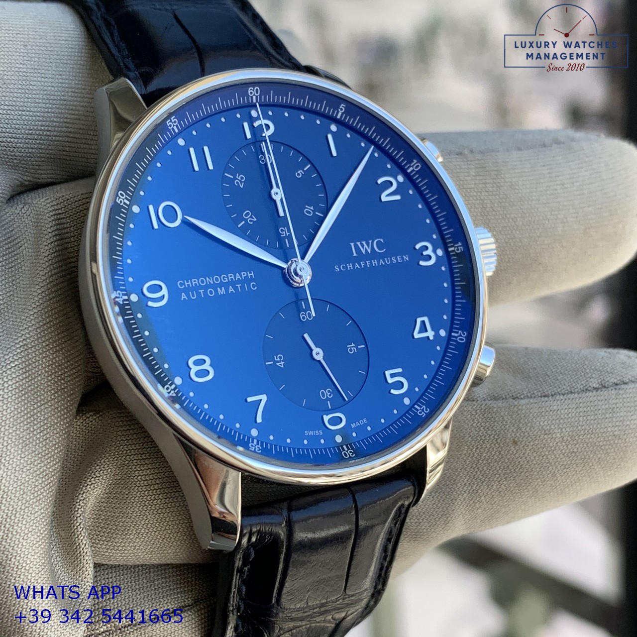 GARANZIA IWC PORTOGUESE IW371491 BLUE (1)