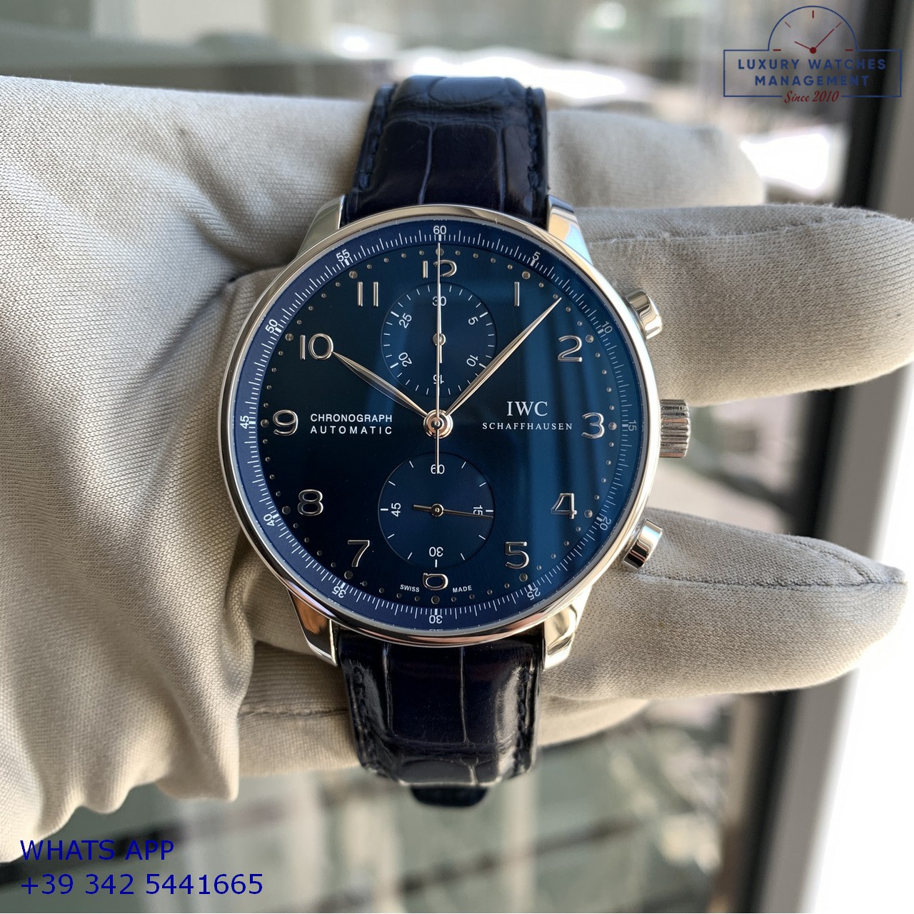 GARANZIA IWC PORTOGUESE IW371491 BLUE (16)
