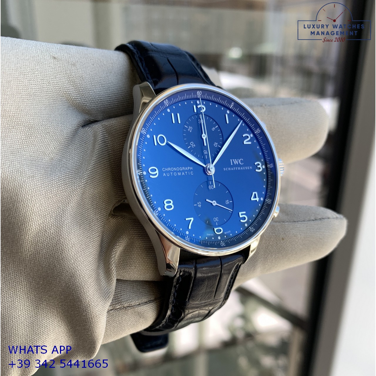 GARANZIA IWC PORTOGUESE IW371491 BLUE (17)