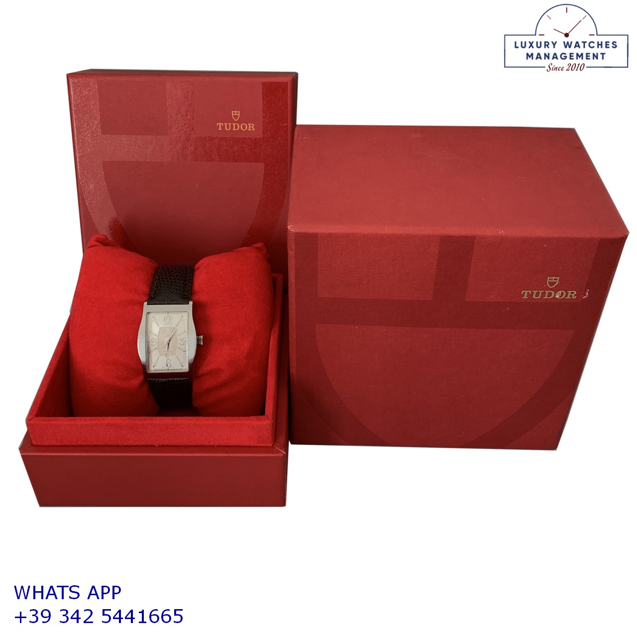 TUDOR ARCHEO 30110 (9)