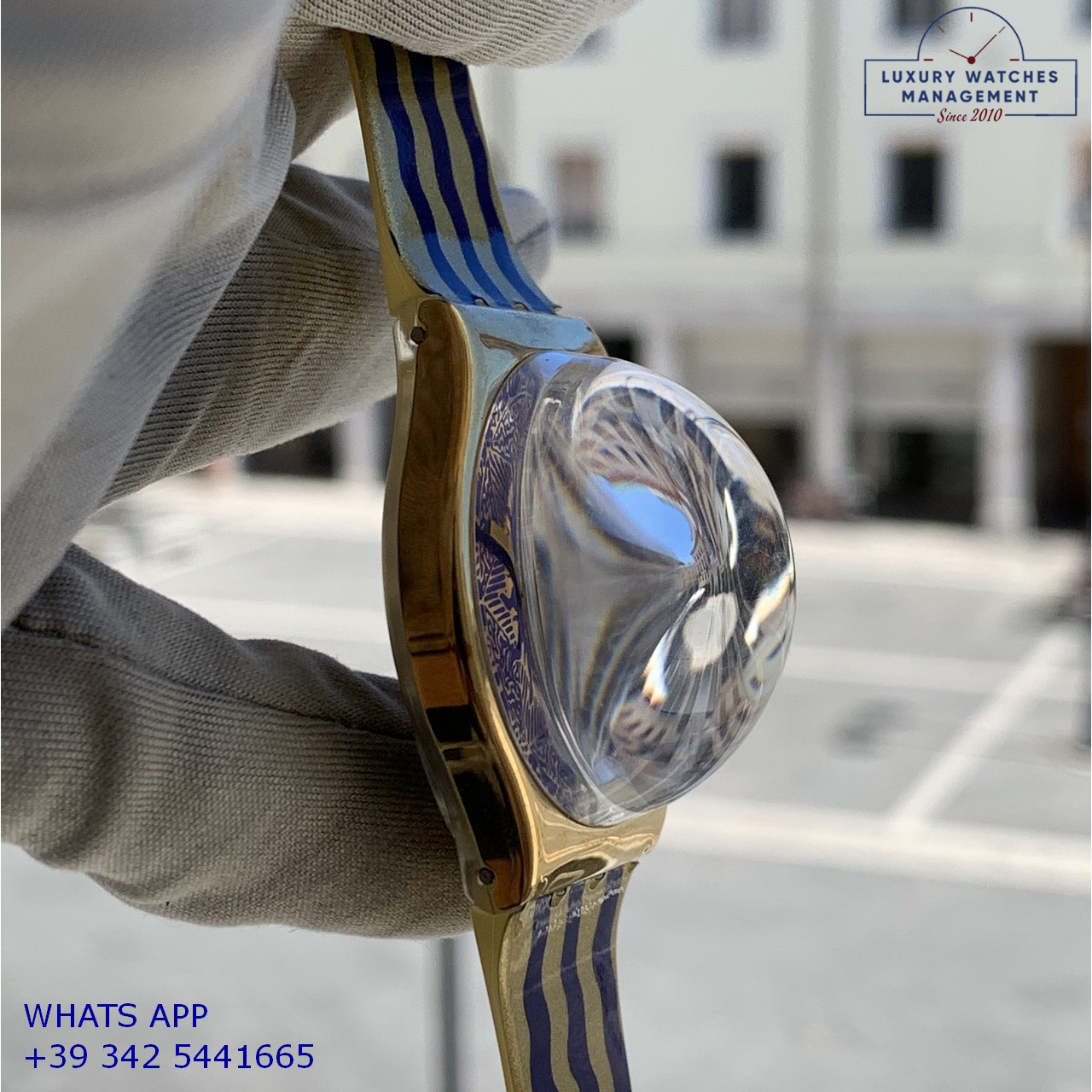 SWATCH GZ122 HOCUS POCUS (15)