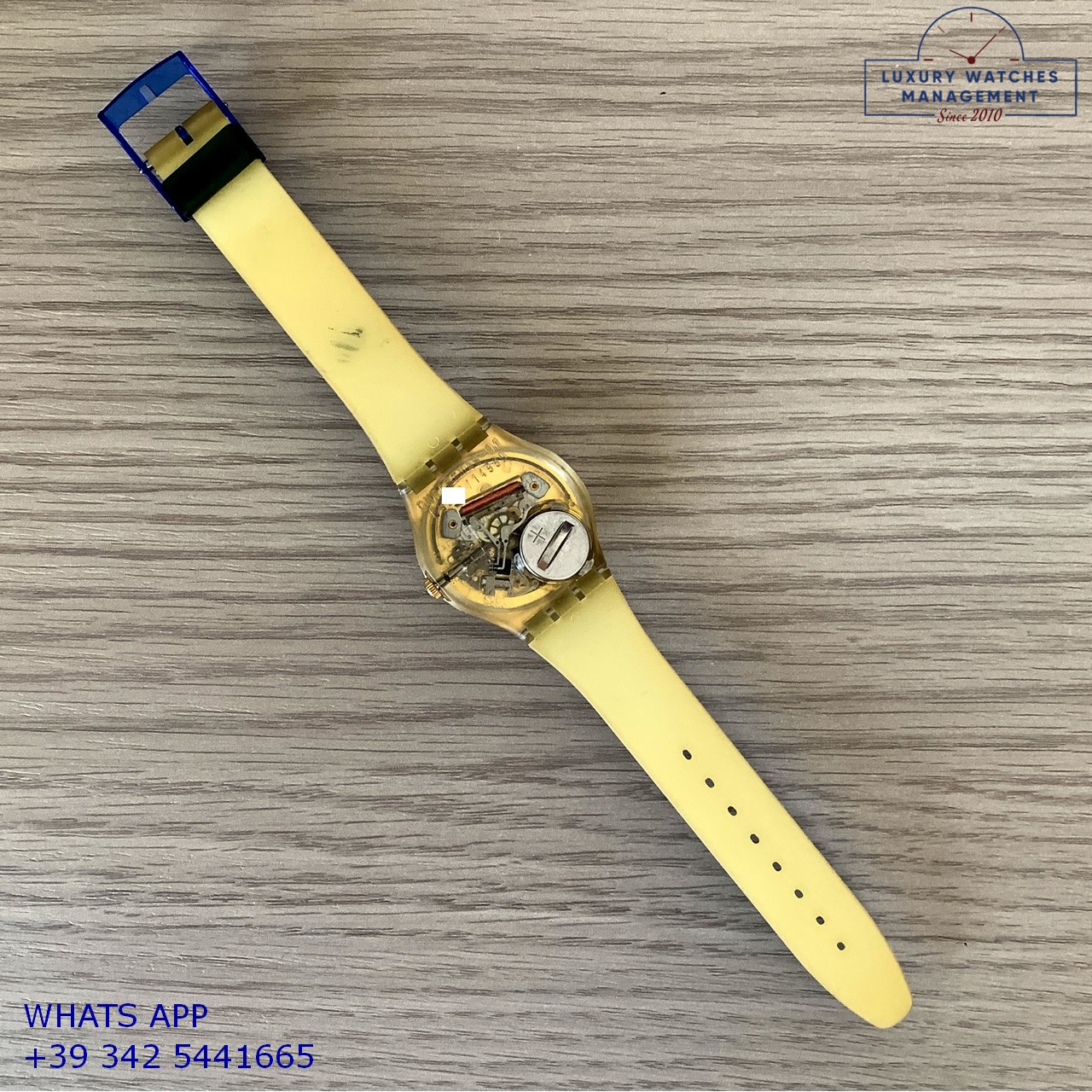 SWATCH GZ122 HOCUS POCUS (6)