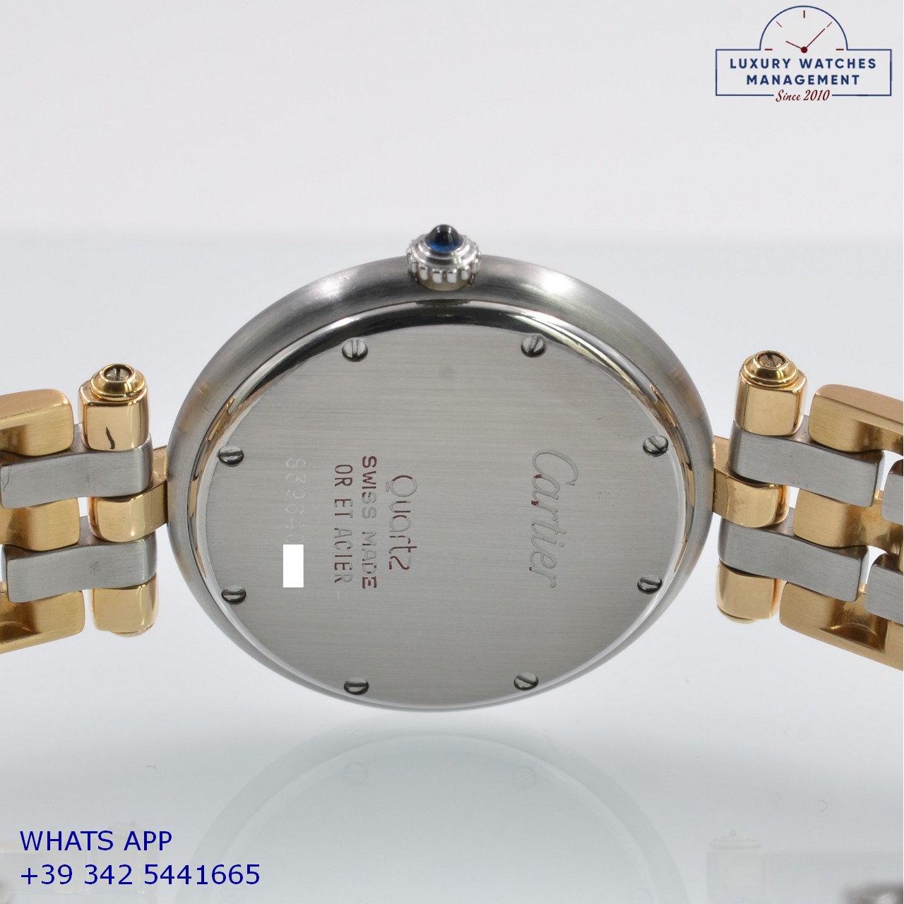 CARTIER PANTHÈRE VENDOME (10)