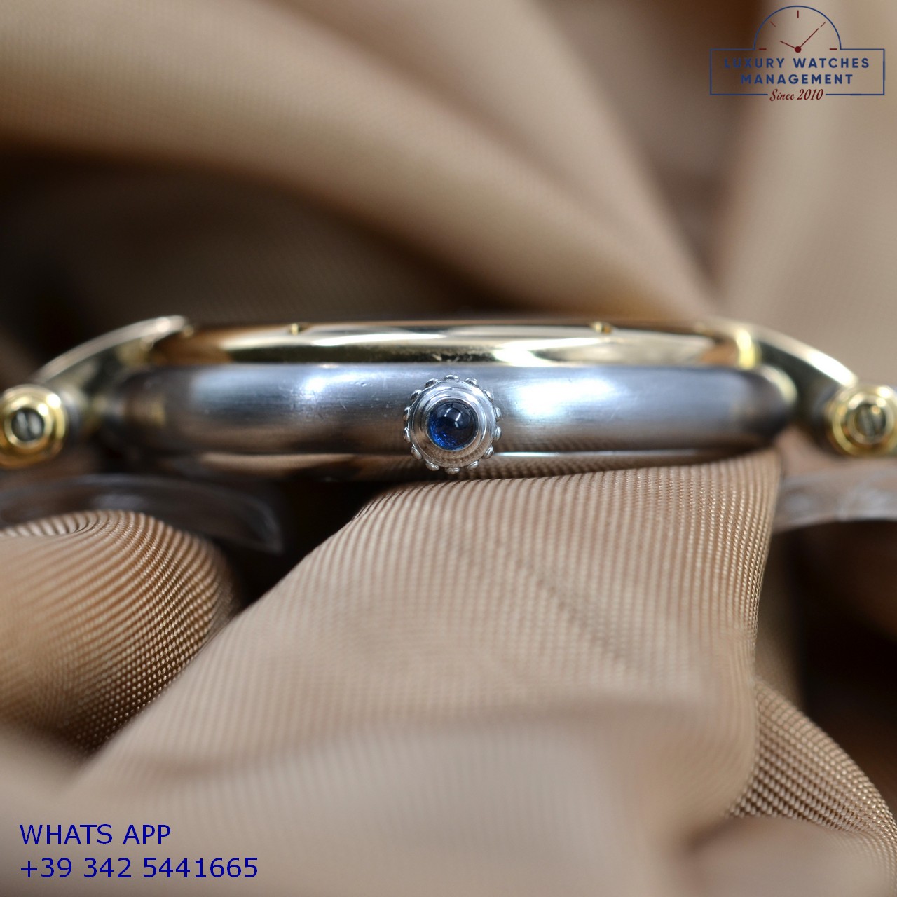 CARTIER PANTHÈRE VENDOME (14)
