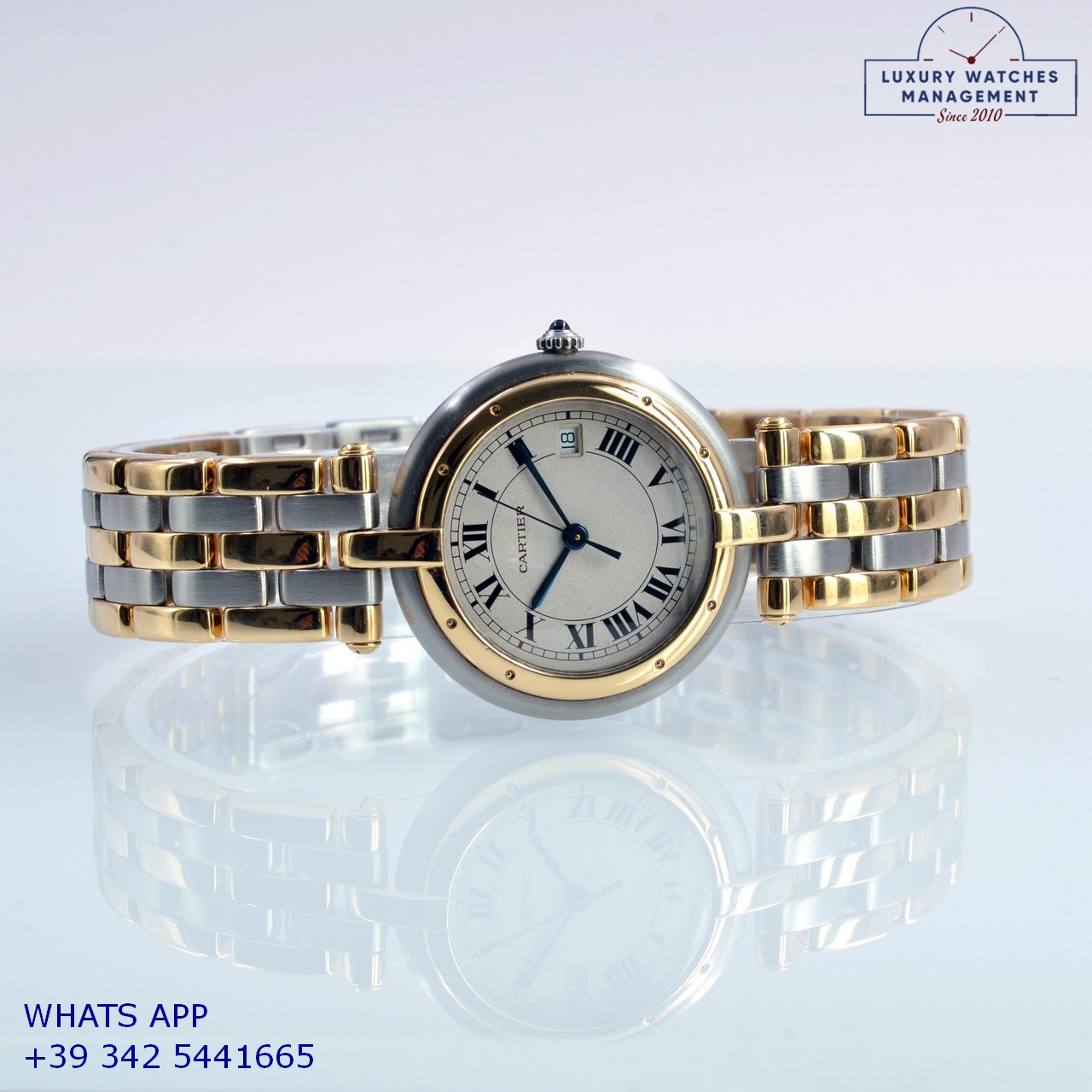 CARTIER PANTHÈRE VENDOME (20)
