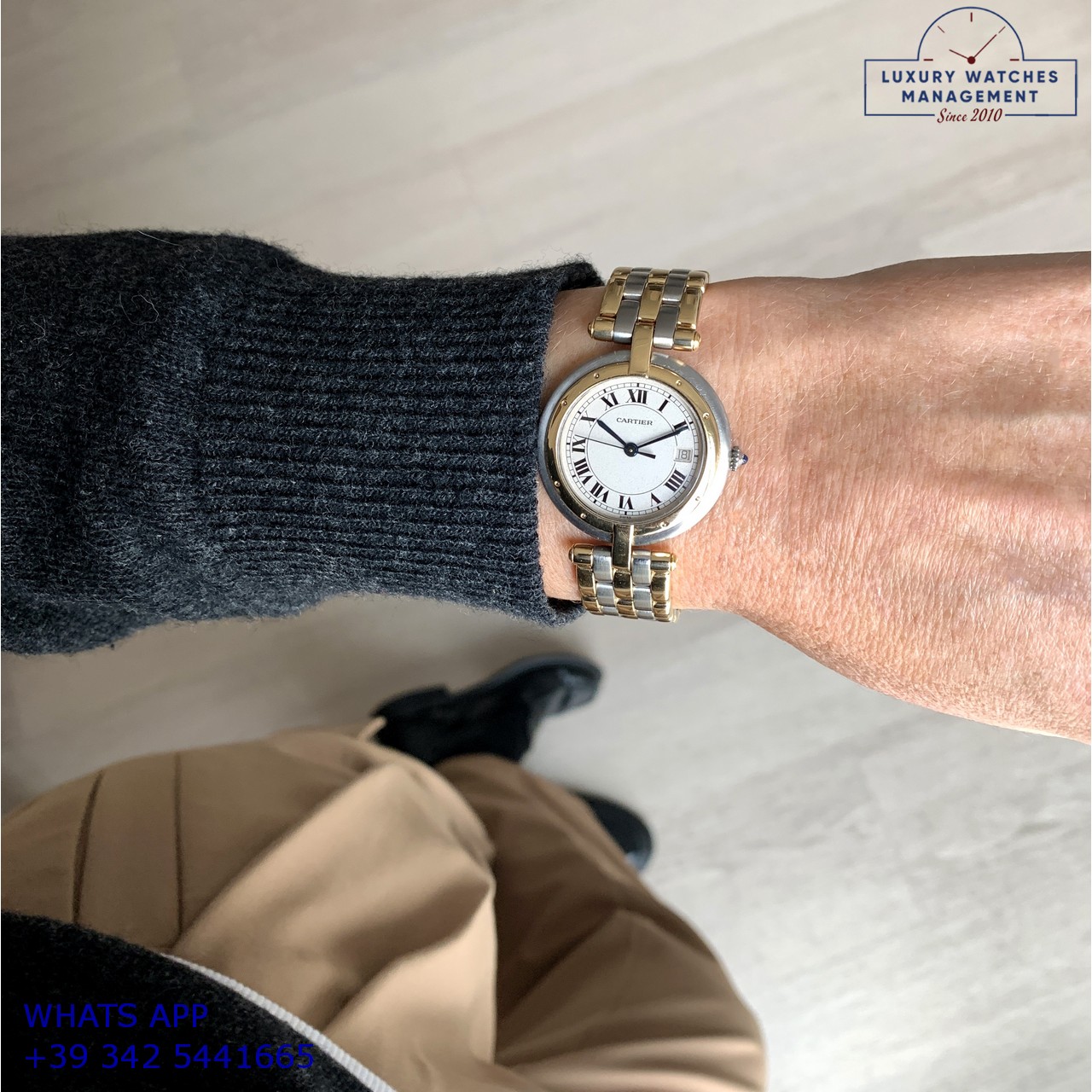 CARTIER PANTHÈRE VENDOME (21)