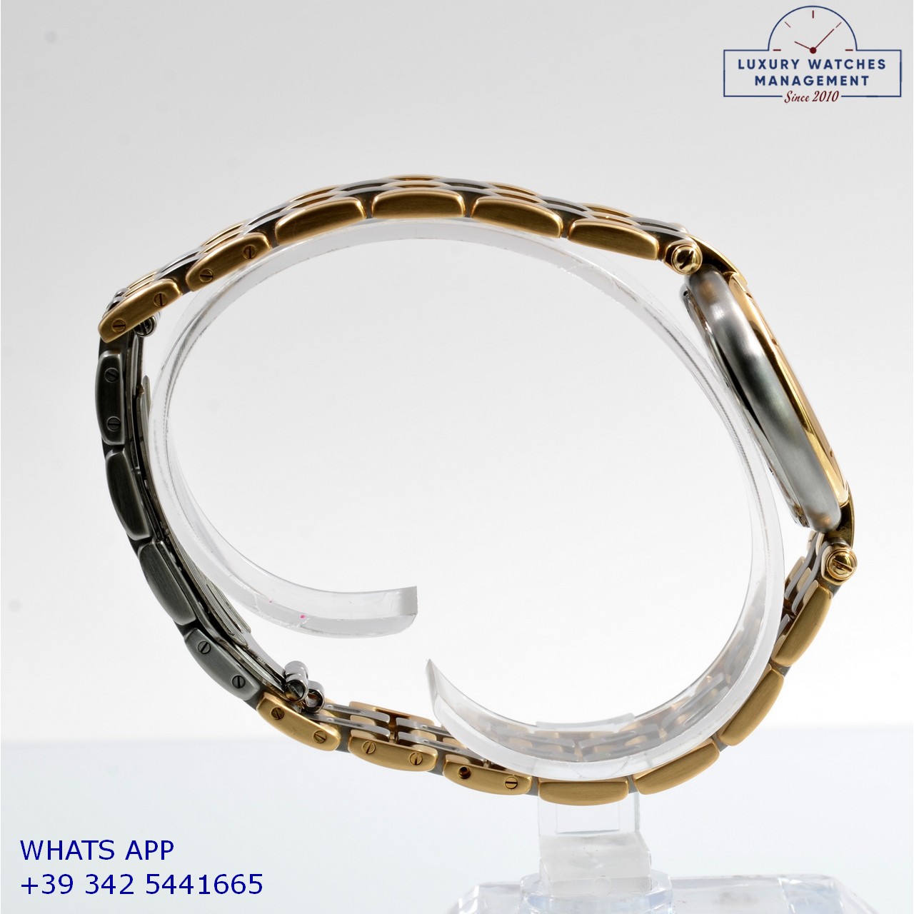 CARTIER PANTHÈRE VENDOME (6)