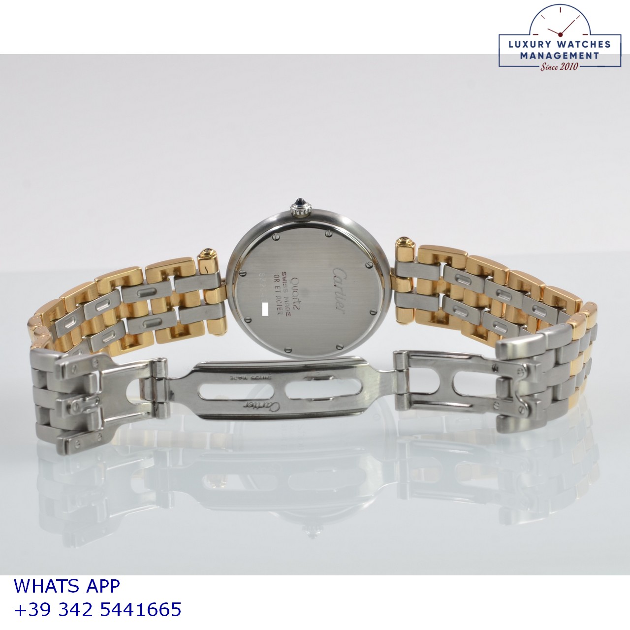 CARTIER PANTHÈRE VENDOME (8)