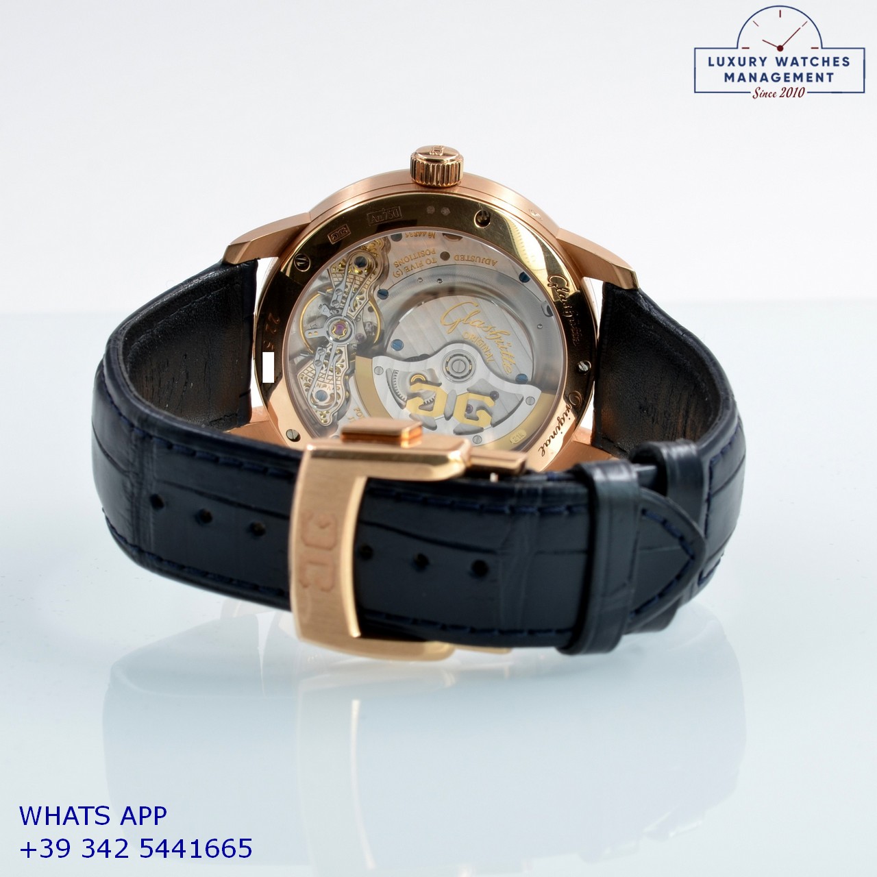 GLASHÜTTE PANOMATICLUNA (13)