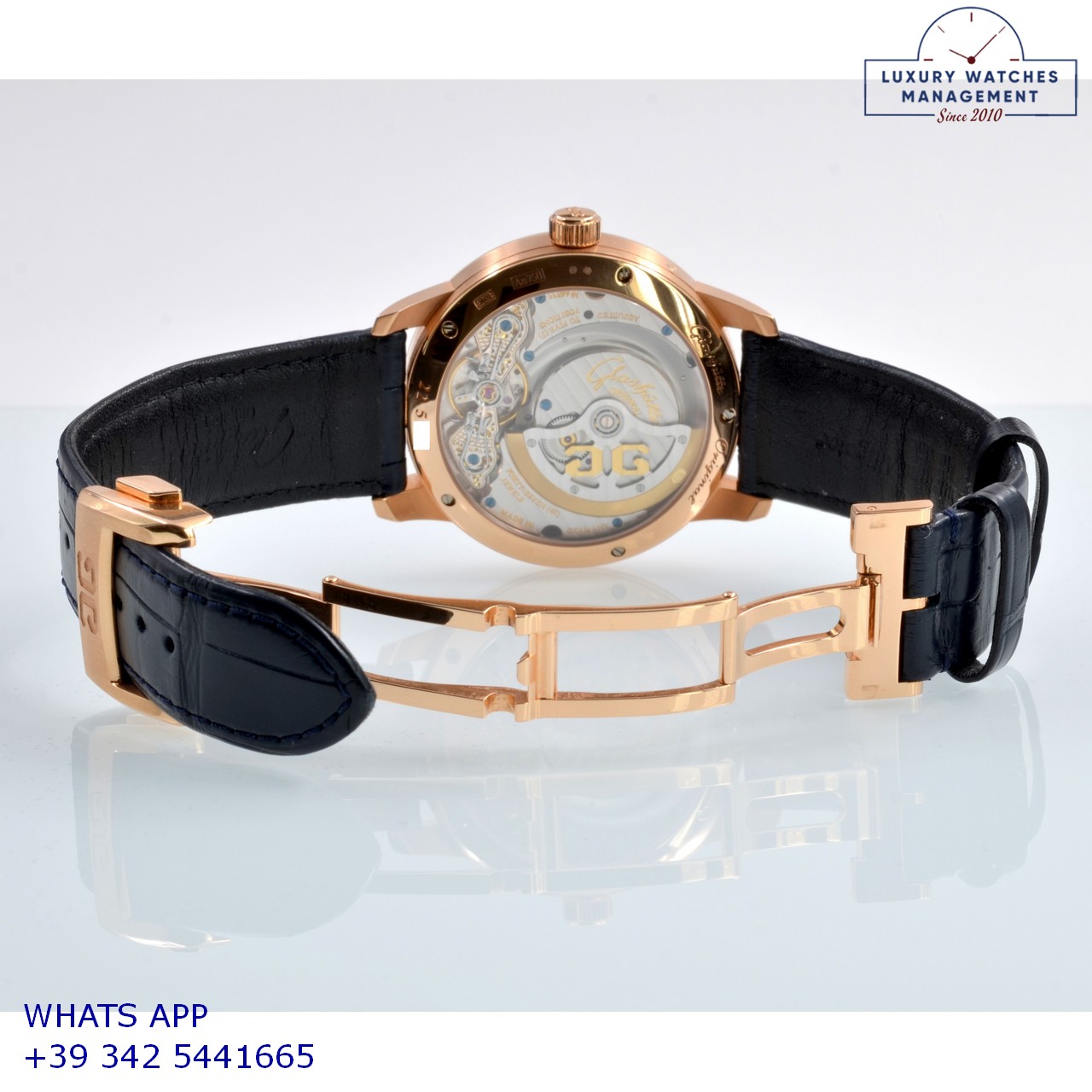 GLASHÜTTE PANOMATICLUNA (14)