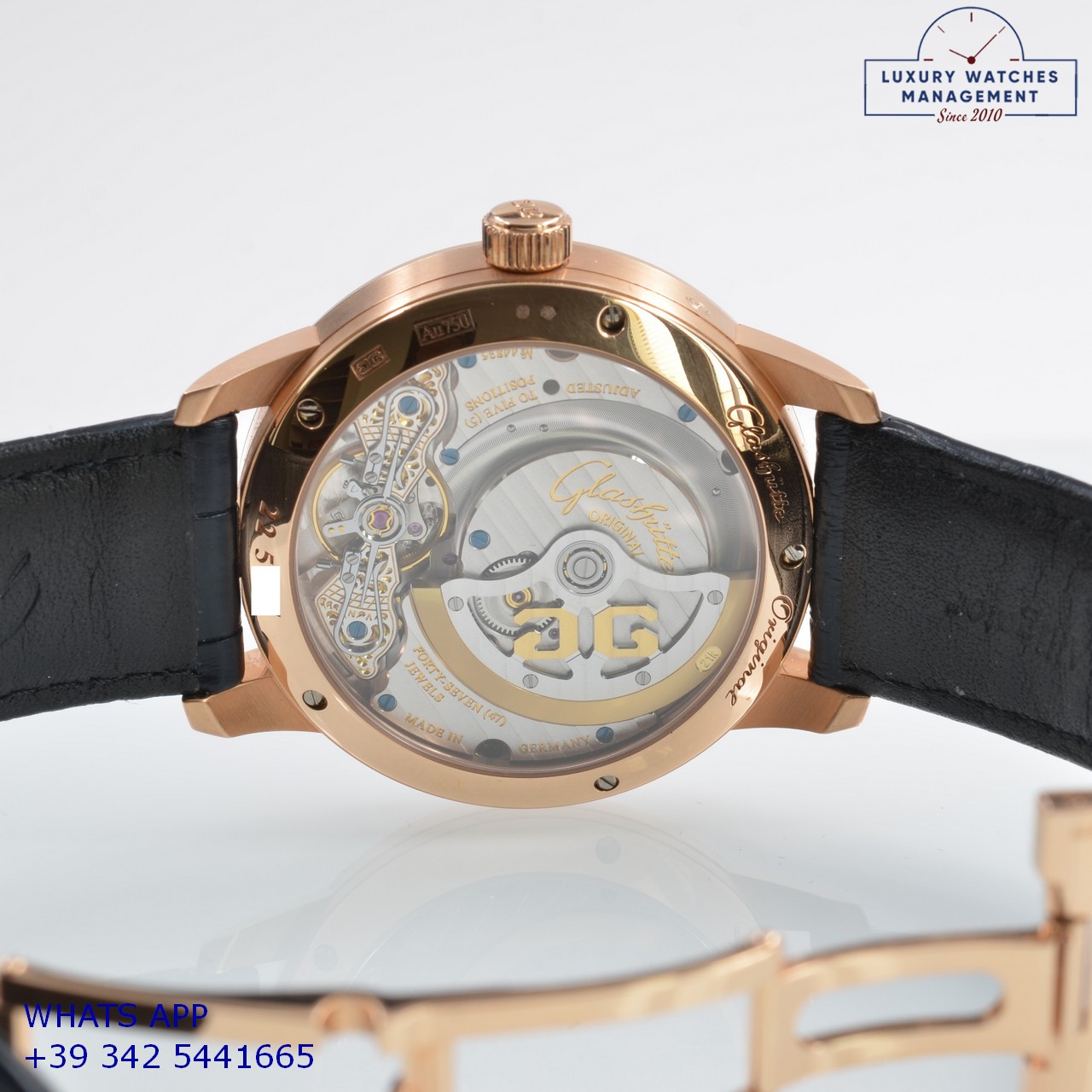 GLASHÜTTE PANOMATICLUNA (15)