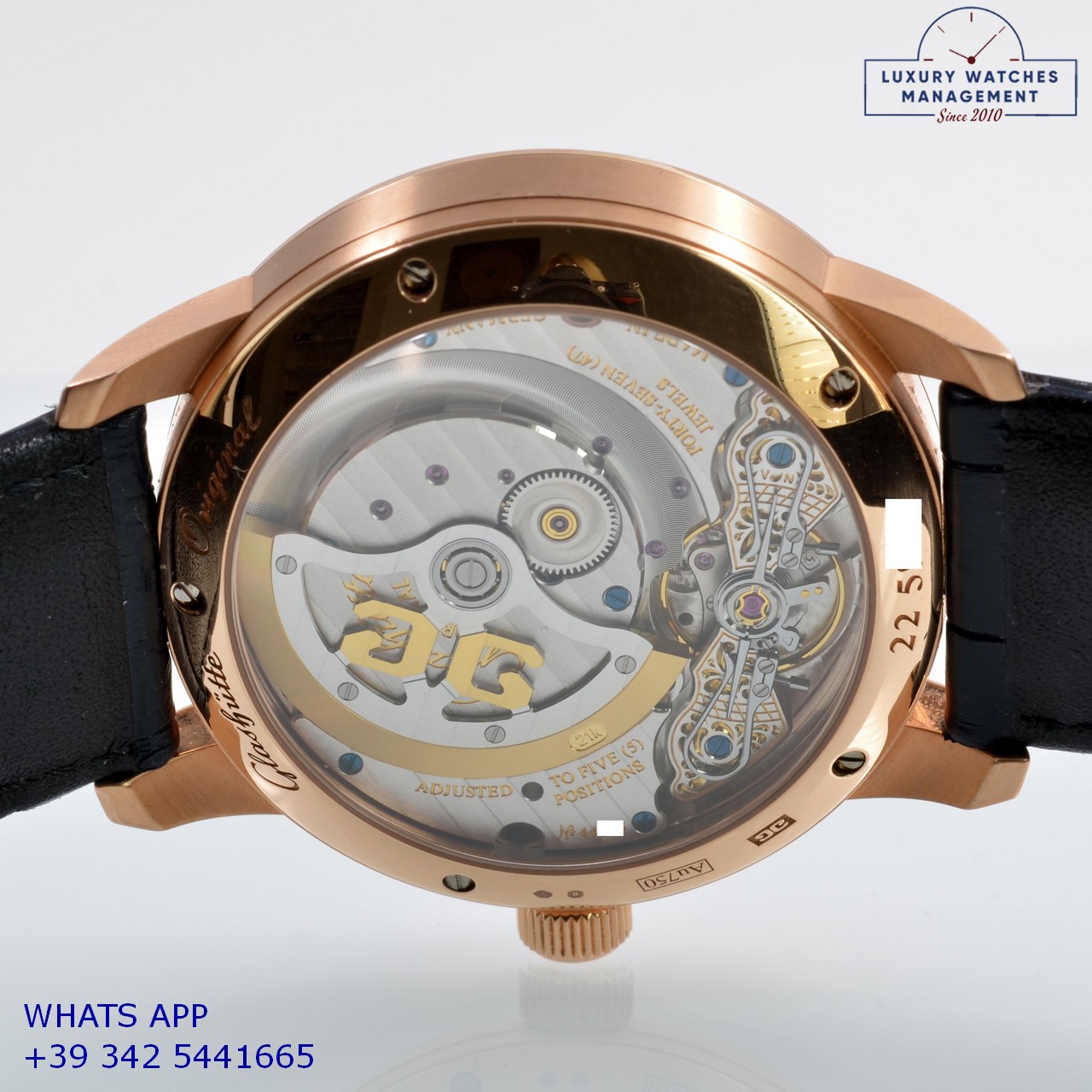 GLASHÜTTE PANOMATICLUNA (17)