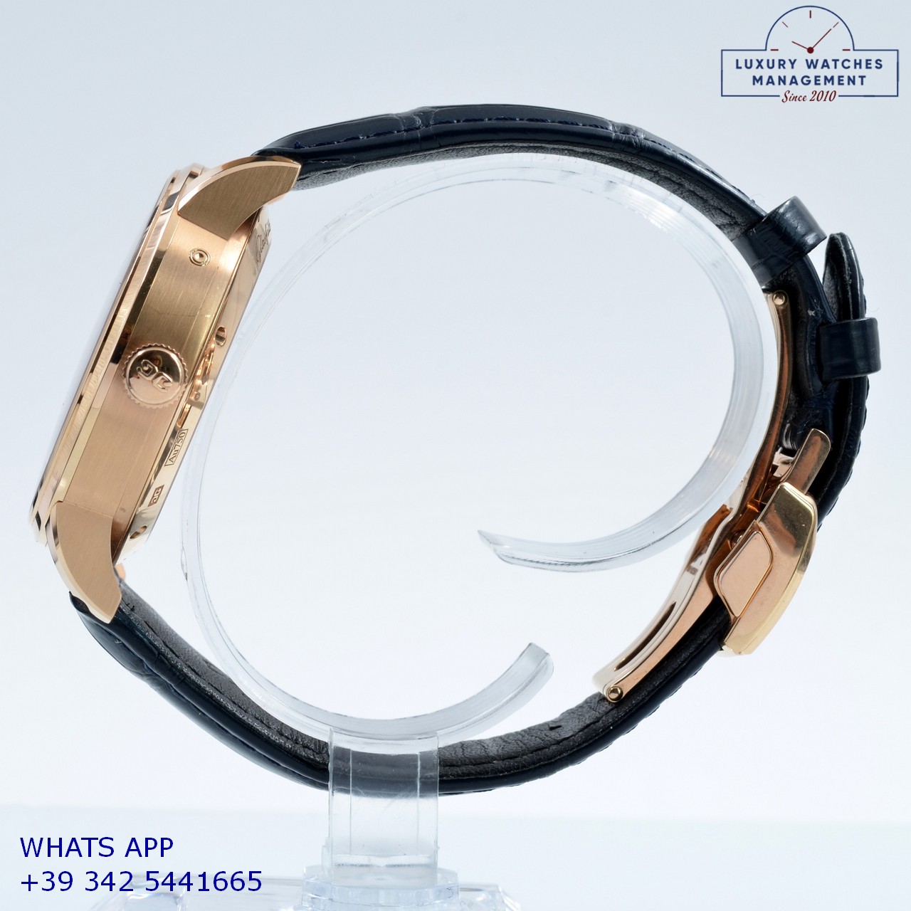 GLASHÜTTE PANOMATICLUNA (9)