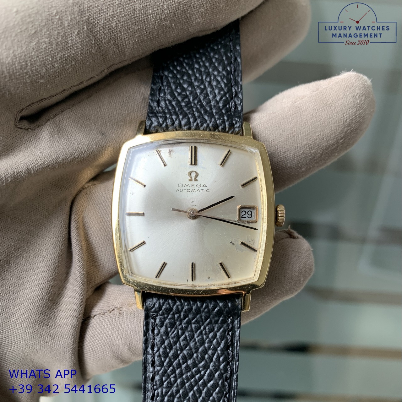 OMEGA SQUARE DE VILLE 162.025 (16)