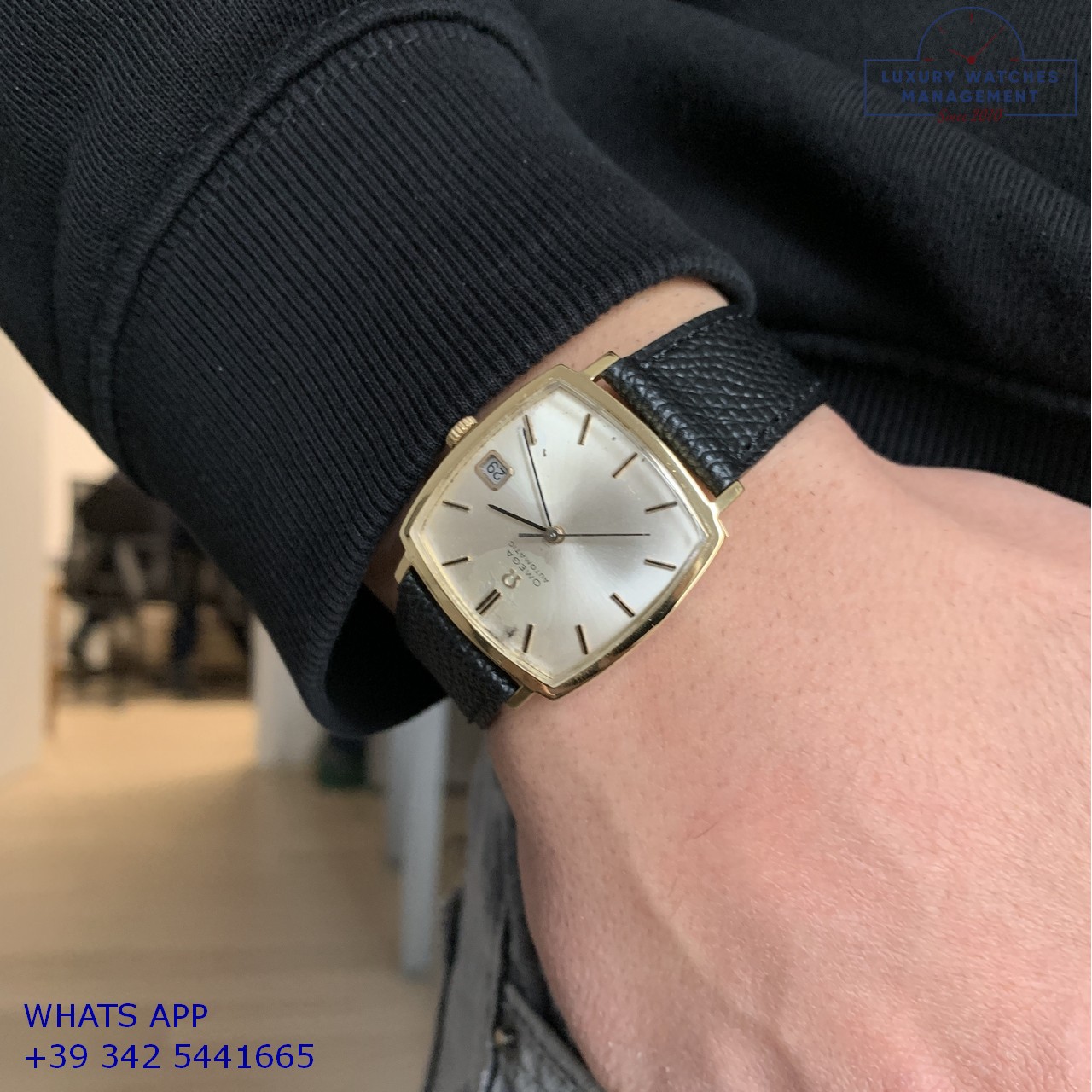 OMEGA SQUARE DE VILLE 162.025 (17)