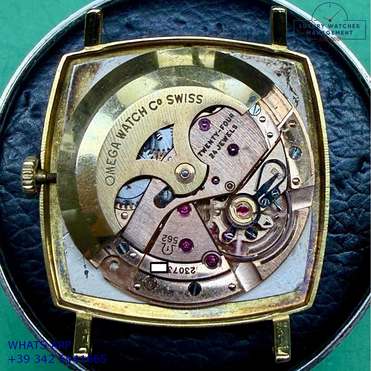OMEGA SQUARE DE VILLE 162.025 (19)