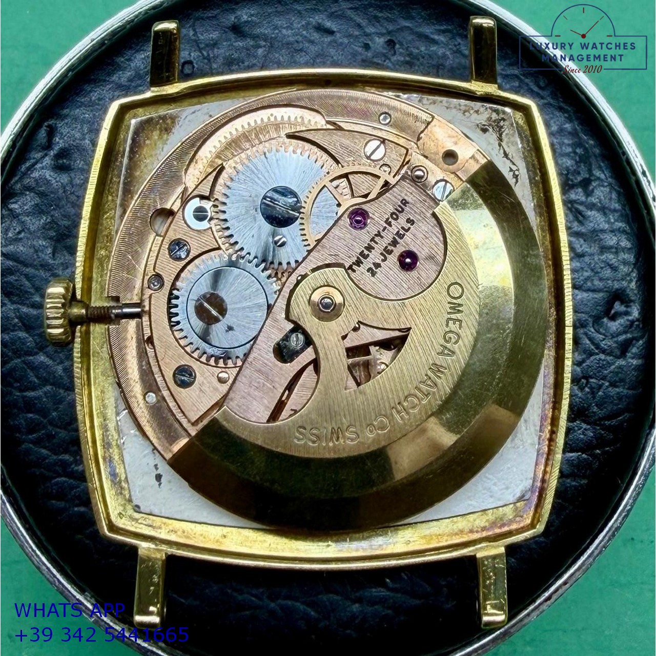 OMEGA SQUARE DE VILLE 162.025 (20)