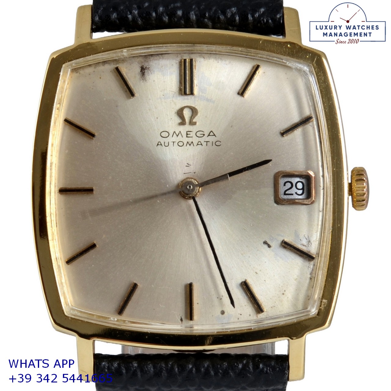 OMEGA SQUARE DE VILLE 162.025 (3)