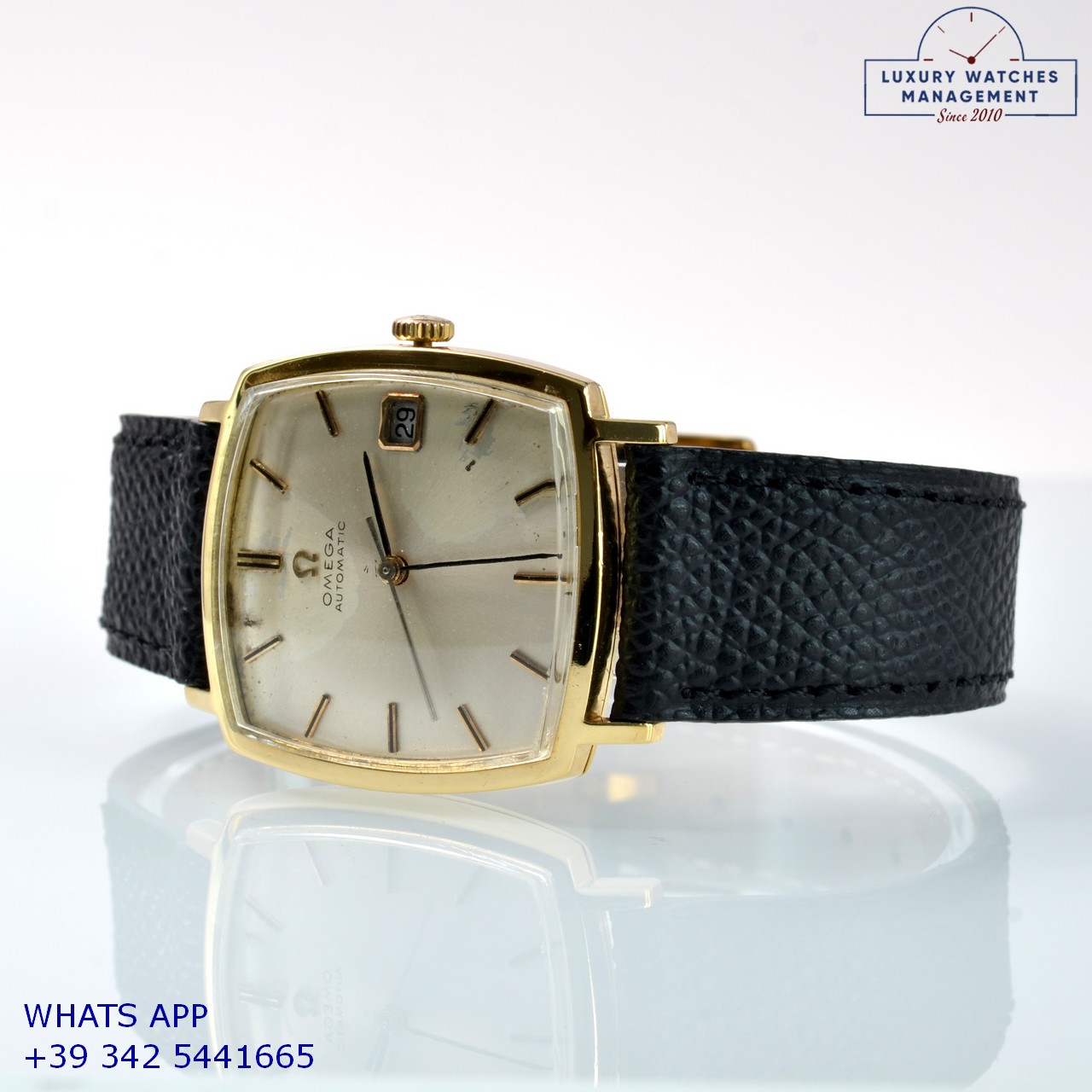 OMEGA SQUARE DE VILLE 162.025 (8)