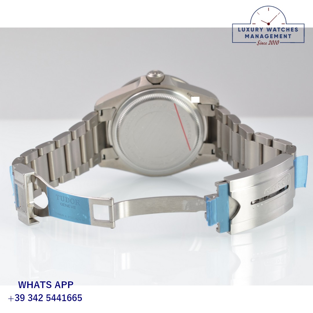 TUDOR PELAGOS 25600TN TITANIUM STATE OF QATAR (34)