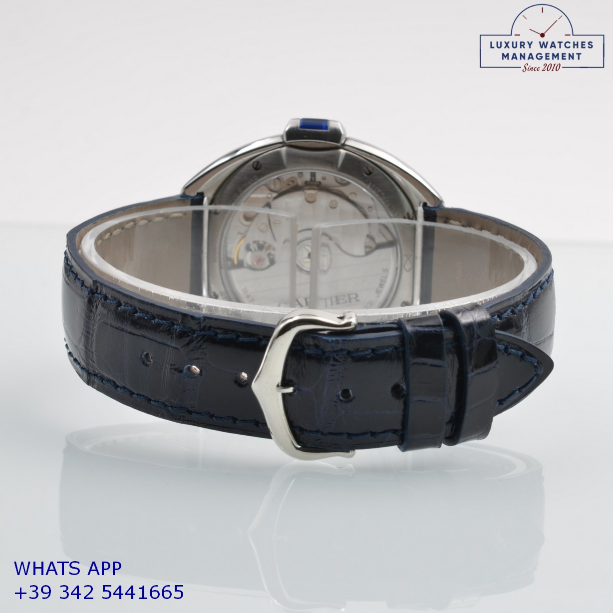 CARTIER 3856 (11)