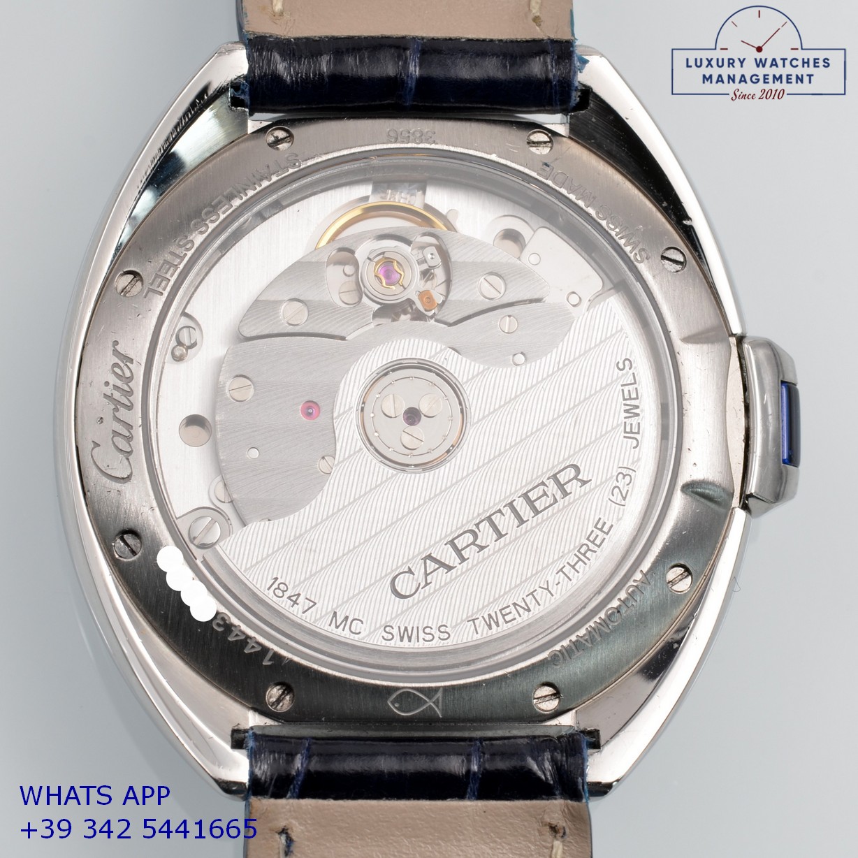 CARTIER 3856 (14)