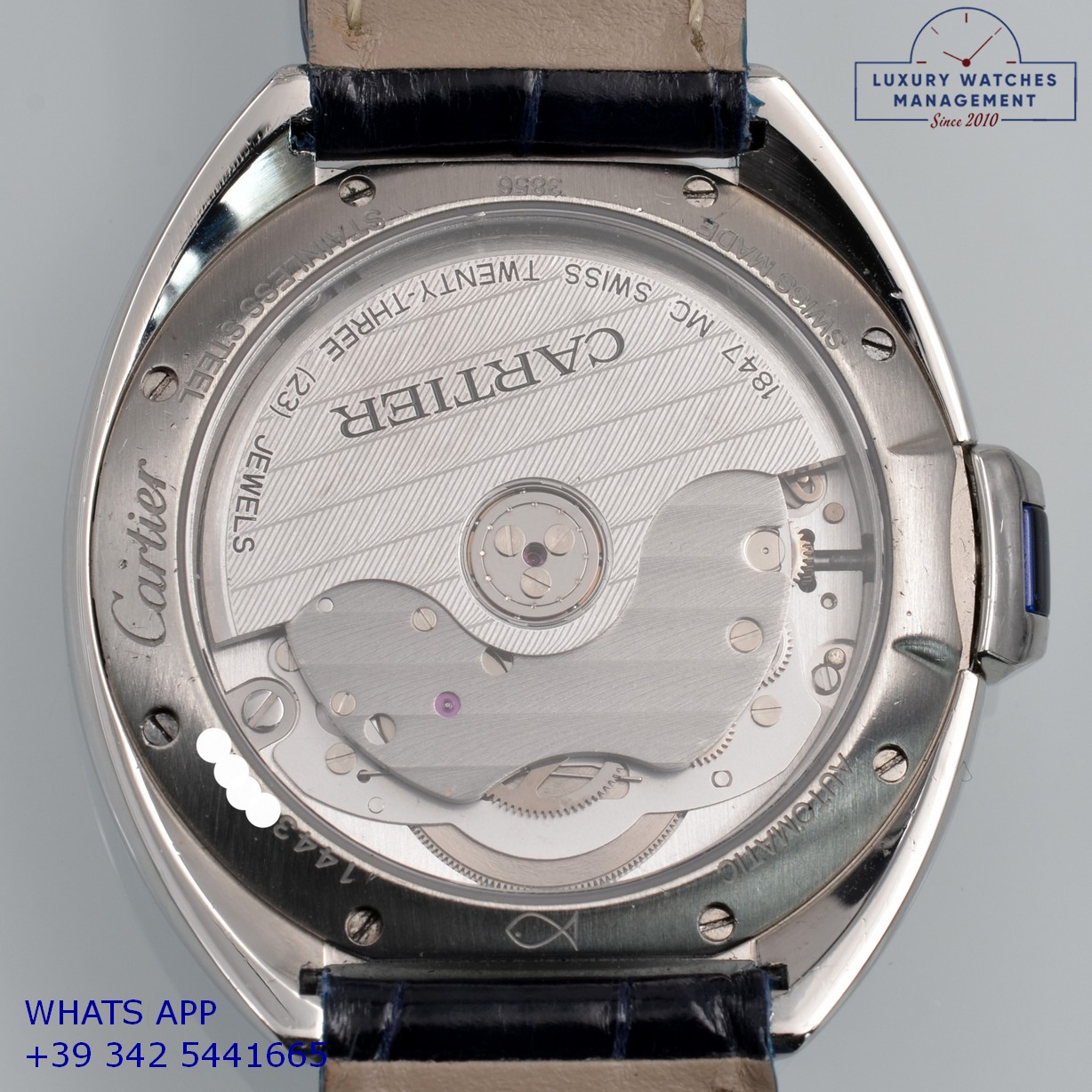 CARTIER 3856 (15)