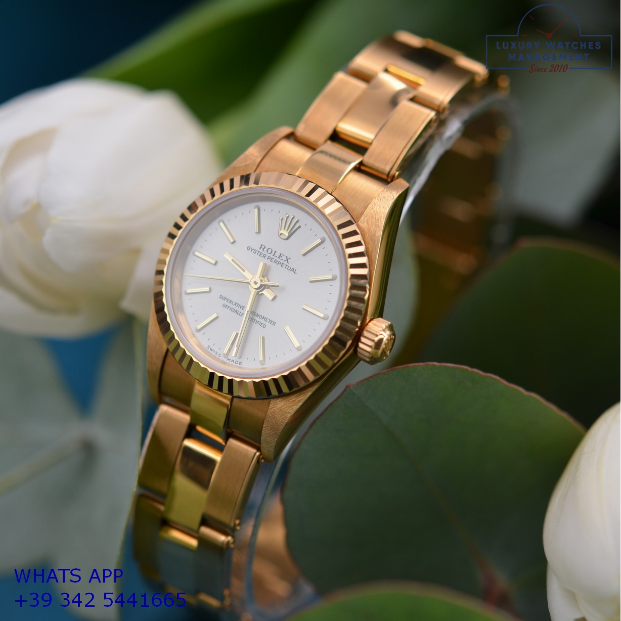 ROLEX OYSTER PERPETUAL 76198 GOLD (13)