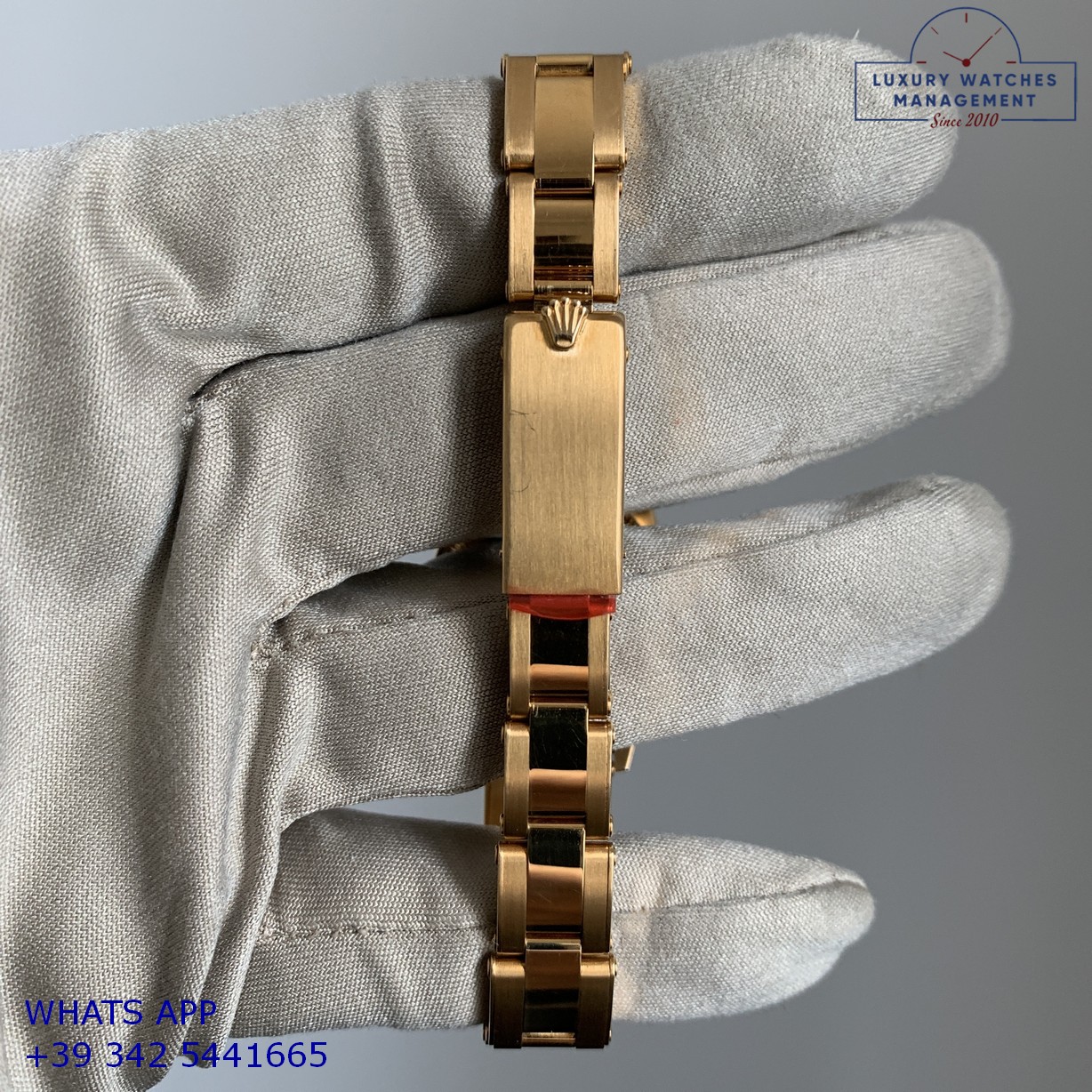 ROLEX OYSTER PERPETUAL 76198 GOLD (21)