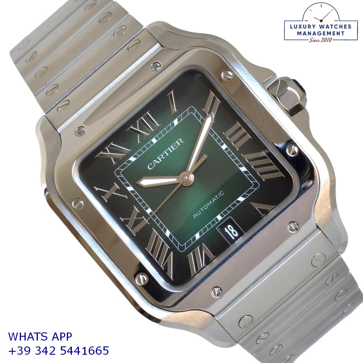 1 CARTIER SANTOS DE LARGE WSSA0062 (1)