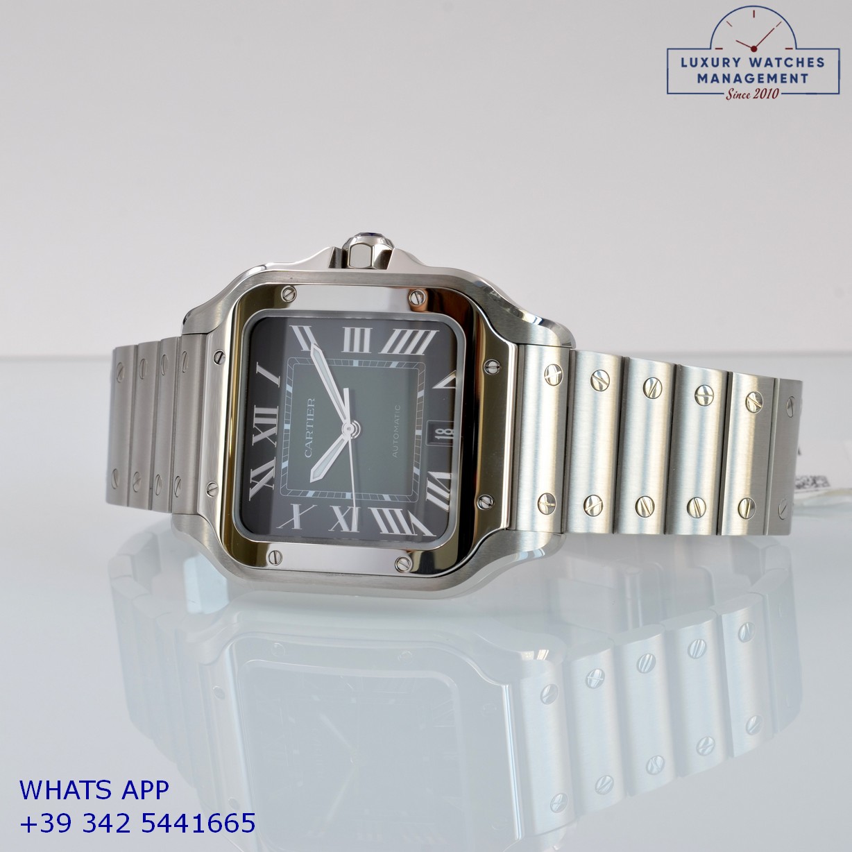 CARTIER SANTOS DE LARGE WSSA0062 (7)