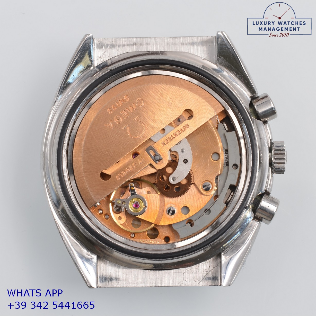 OMEGA SPEEDMASTER 176.0012 MARK IV (15)