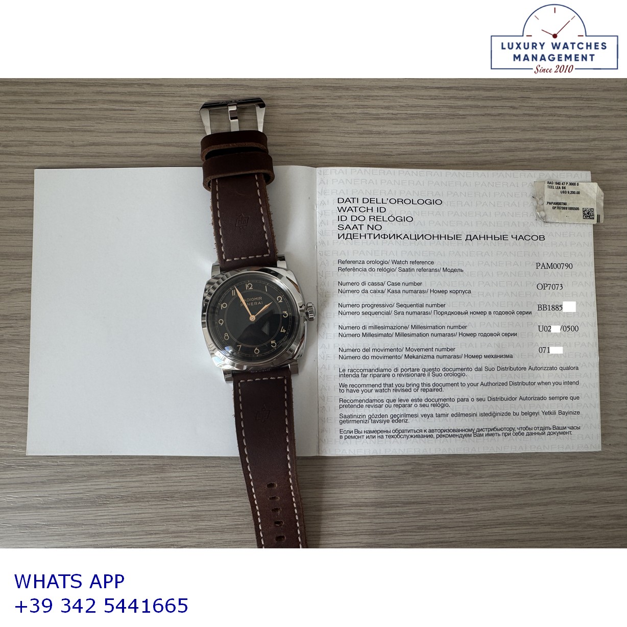 PANERAI RADIOMIR (12)
