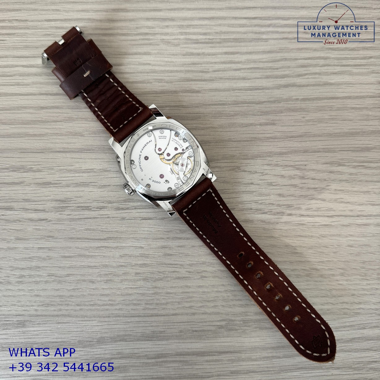 PANERAI RADIOMIR (14)