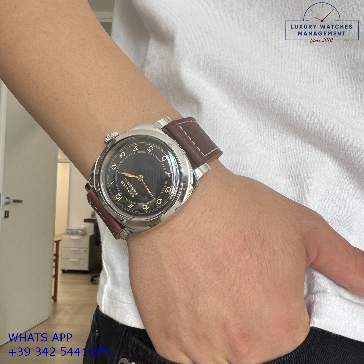 PANERAI RADIOMIR (15)