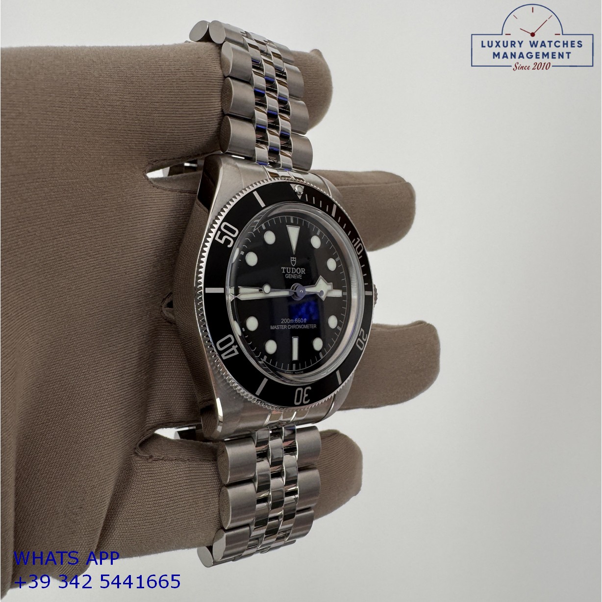 TUDOR BLACK BAY 7941A1A0NU (15)