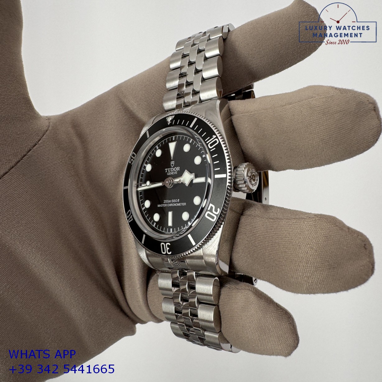 TUDOR BLACK BAY 7941A1A0NU (16)