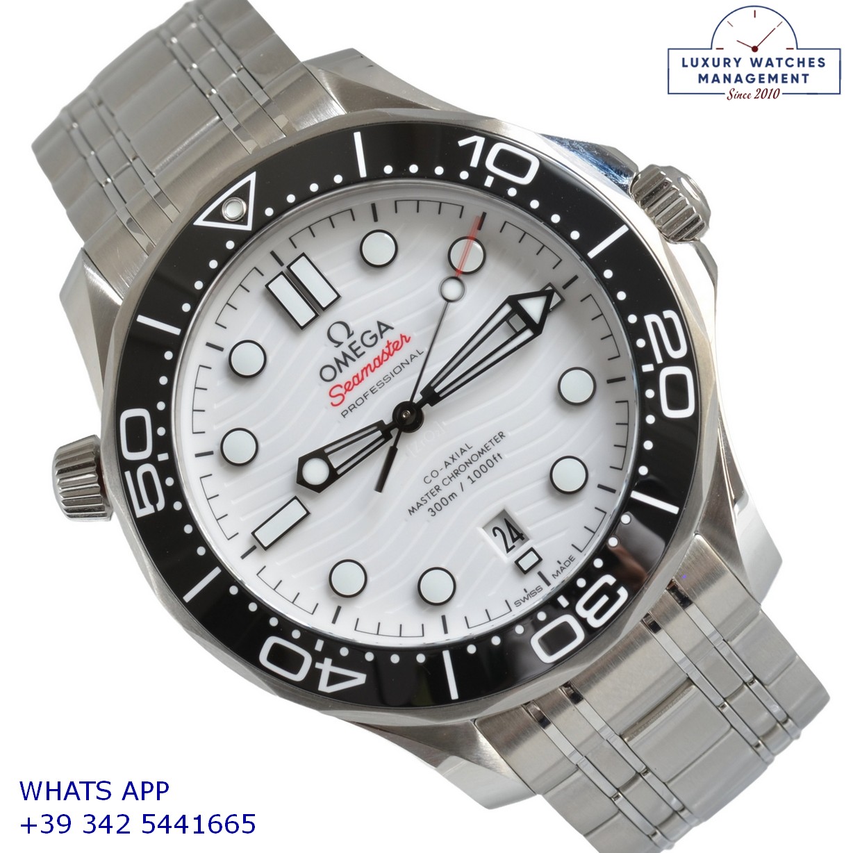 1 OMEGA SEAMASTER (1)